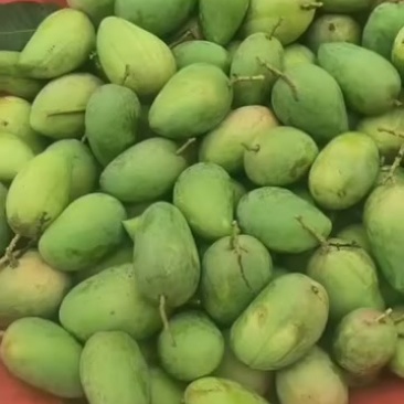 台农芒果电商靓果