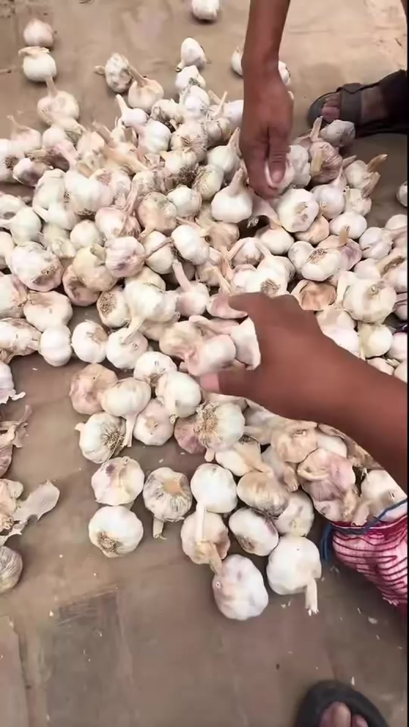 市场，电商，**干大蒜