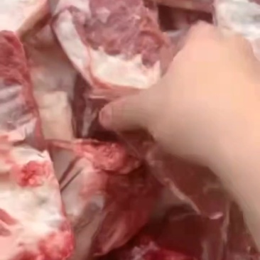 羊排价格超低电商餐饮团购
