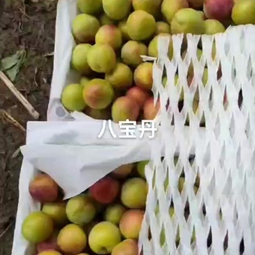 靓货八宝丹，好吃不贵，需要的老板速联系我！