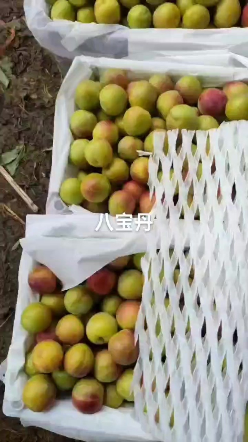 靓货八宝丹，好吃不贵，需要的老板速联系我！
