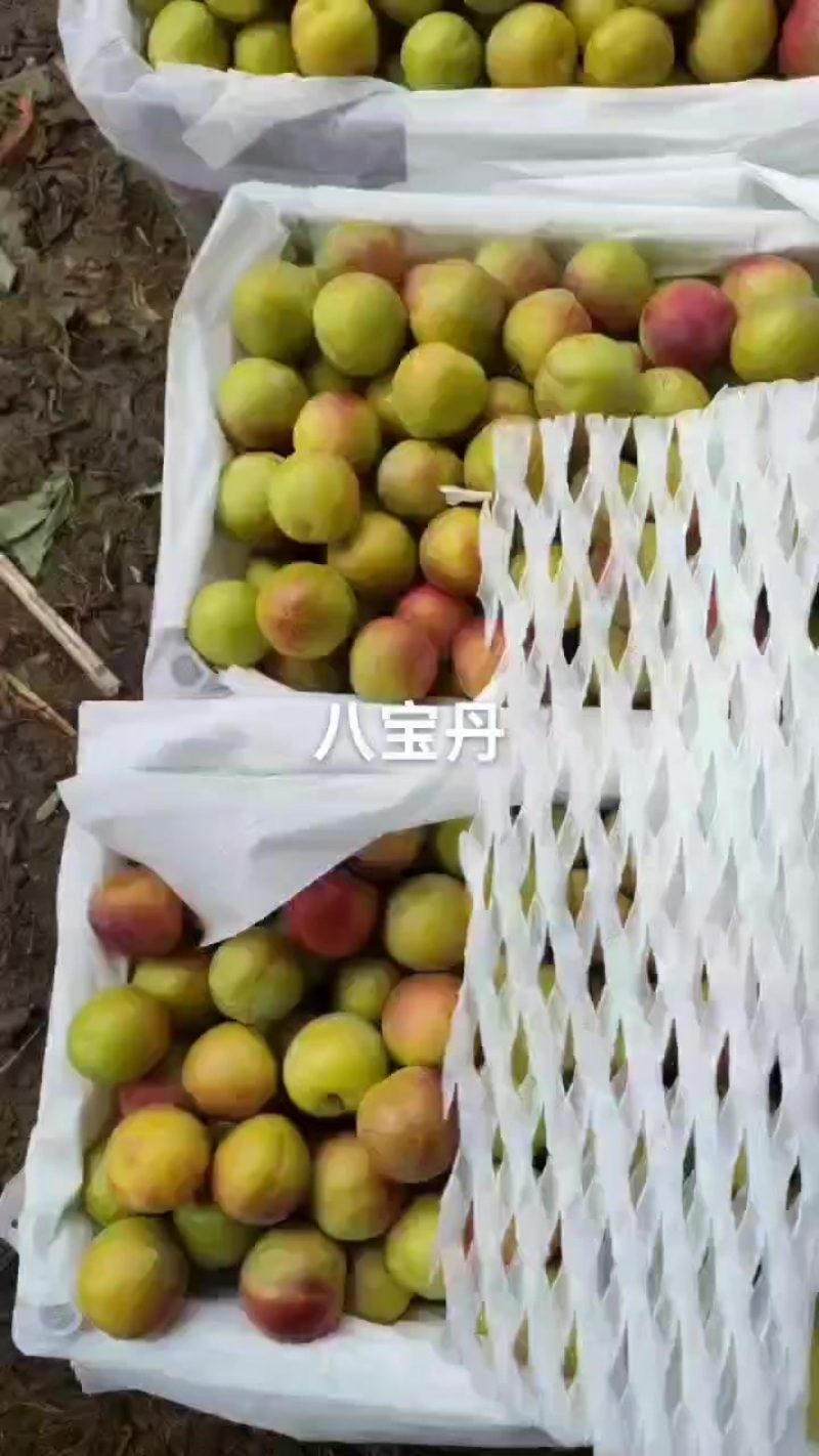靓货八宝丹，好吃不贵，需要的老板速联系我！
