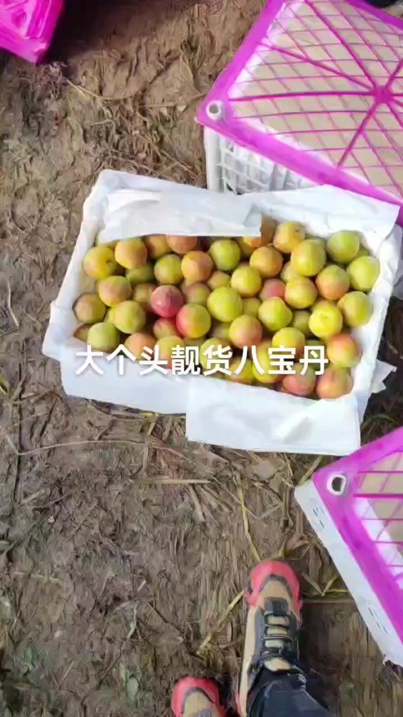 靓货八宝丹，好吃不贵，需要的老板速联系我！
