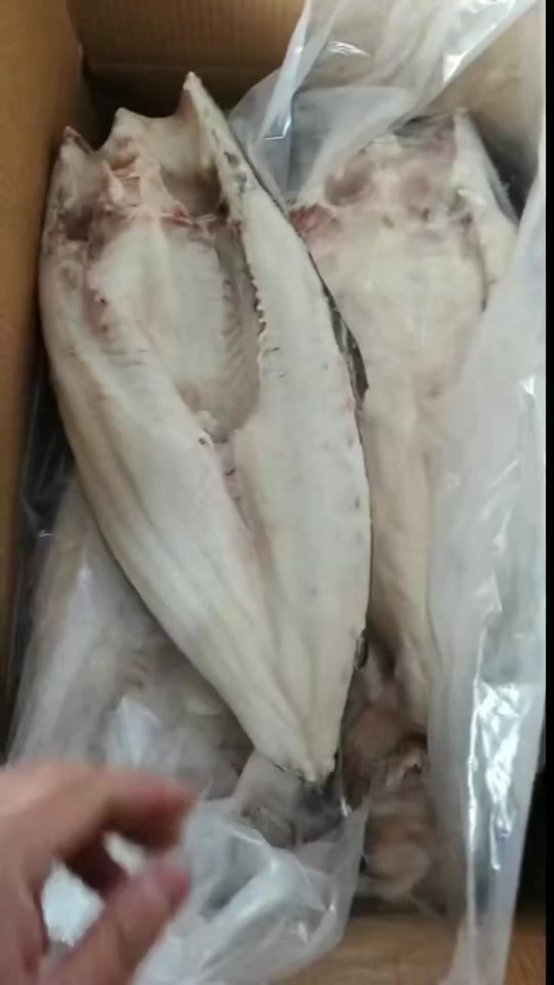 干冰巴沙鱼