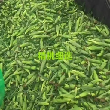 水果玉米