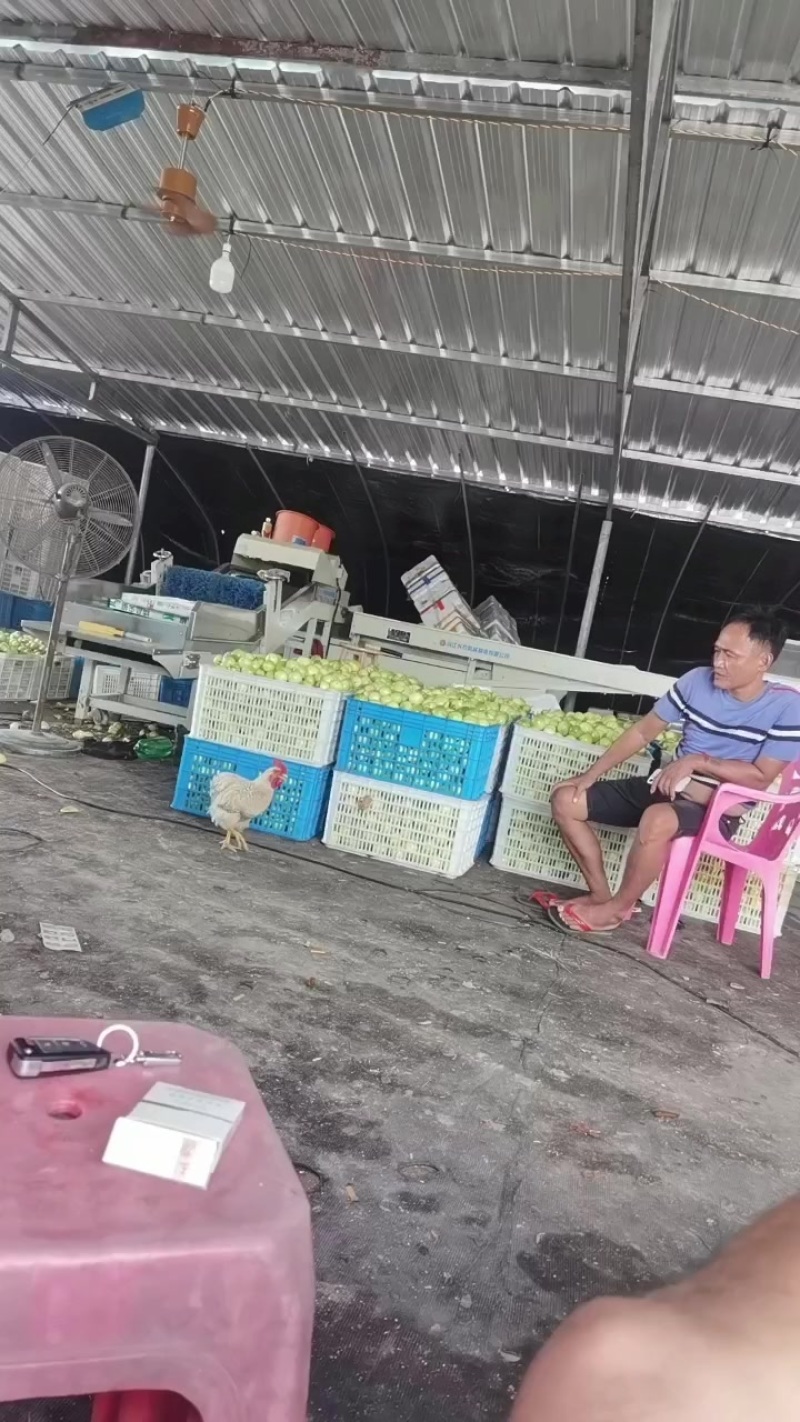 质量**