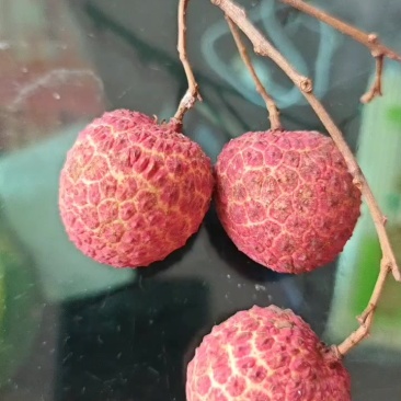 钦州香荔