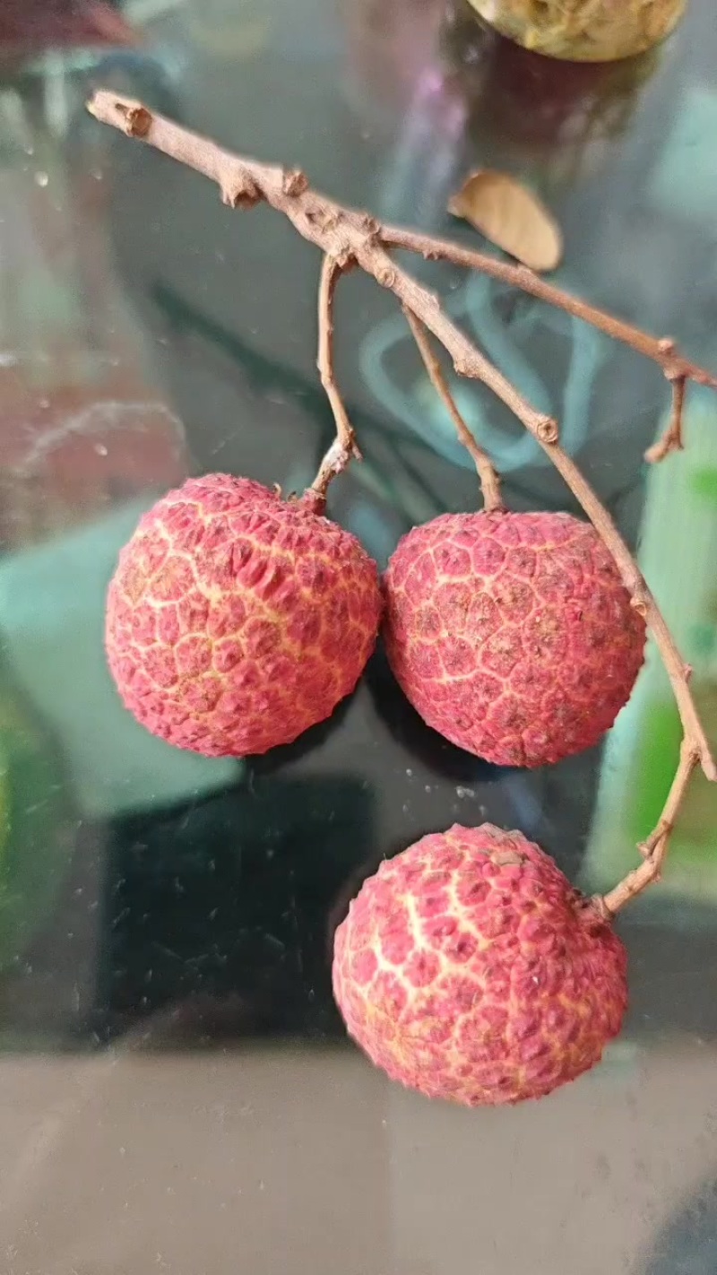钦州香荔