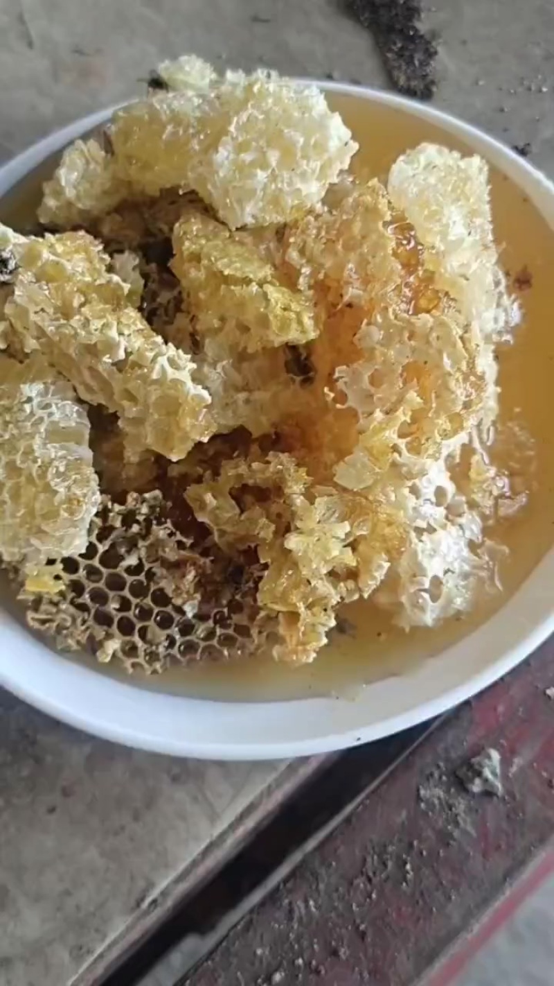 土蜂蜜