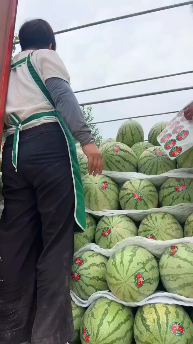 直播苗双红金城5，糖度12+熟读，口感，硬度杠杠滴