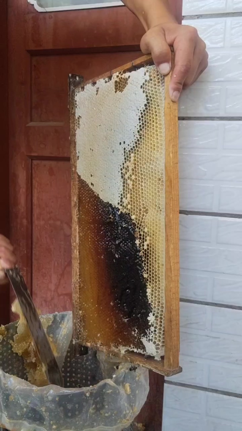 大封盖蜜脾，土蜂蜜，活框养殖