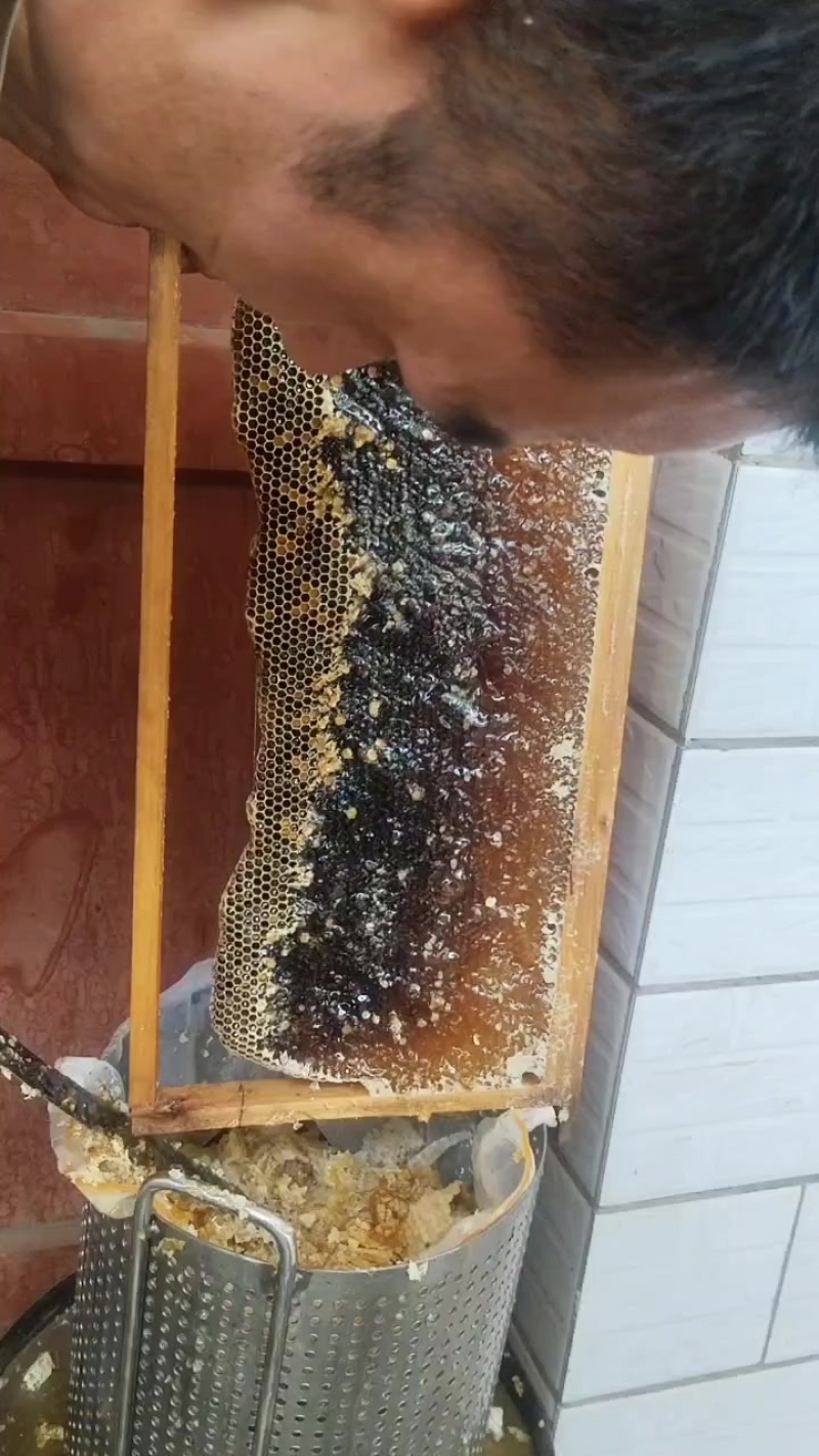 大封盖蜜脾，土蜂蜜，活框养殖