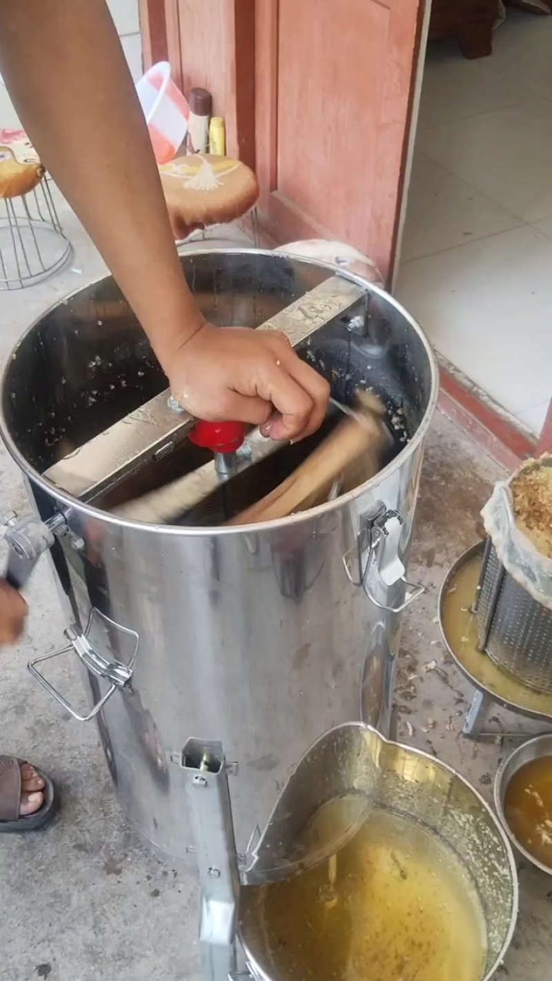 大封盖蜜脾，土蜂蜜，活框养殖