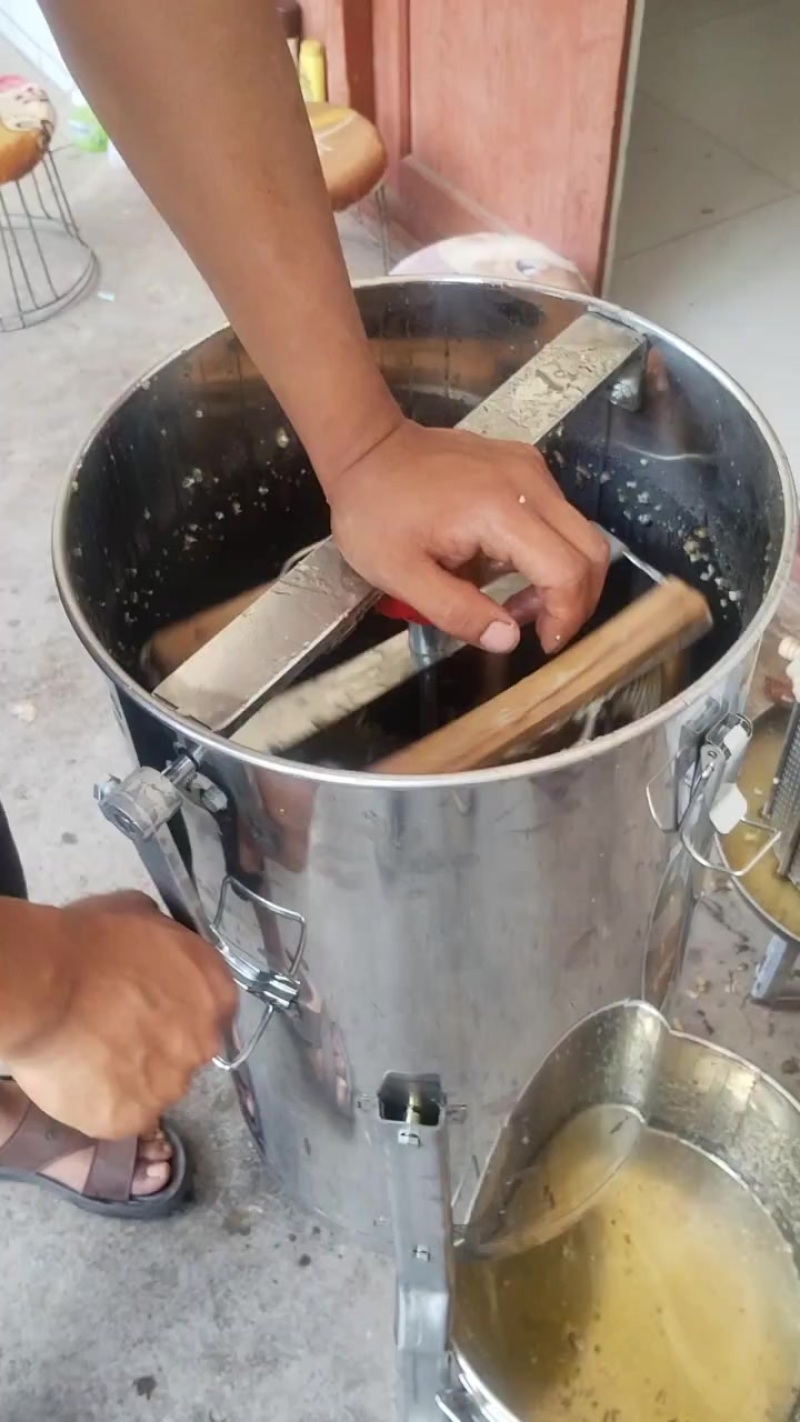 大封盖蜜脾，土蜂蜜，活框养殖