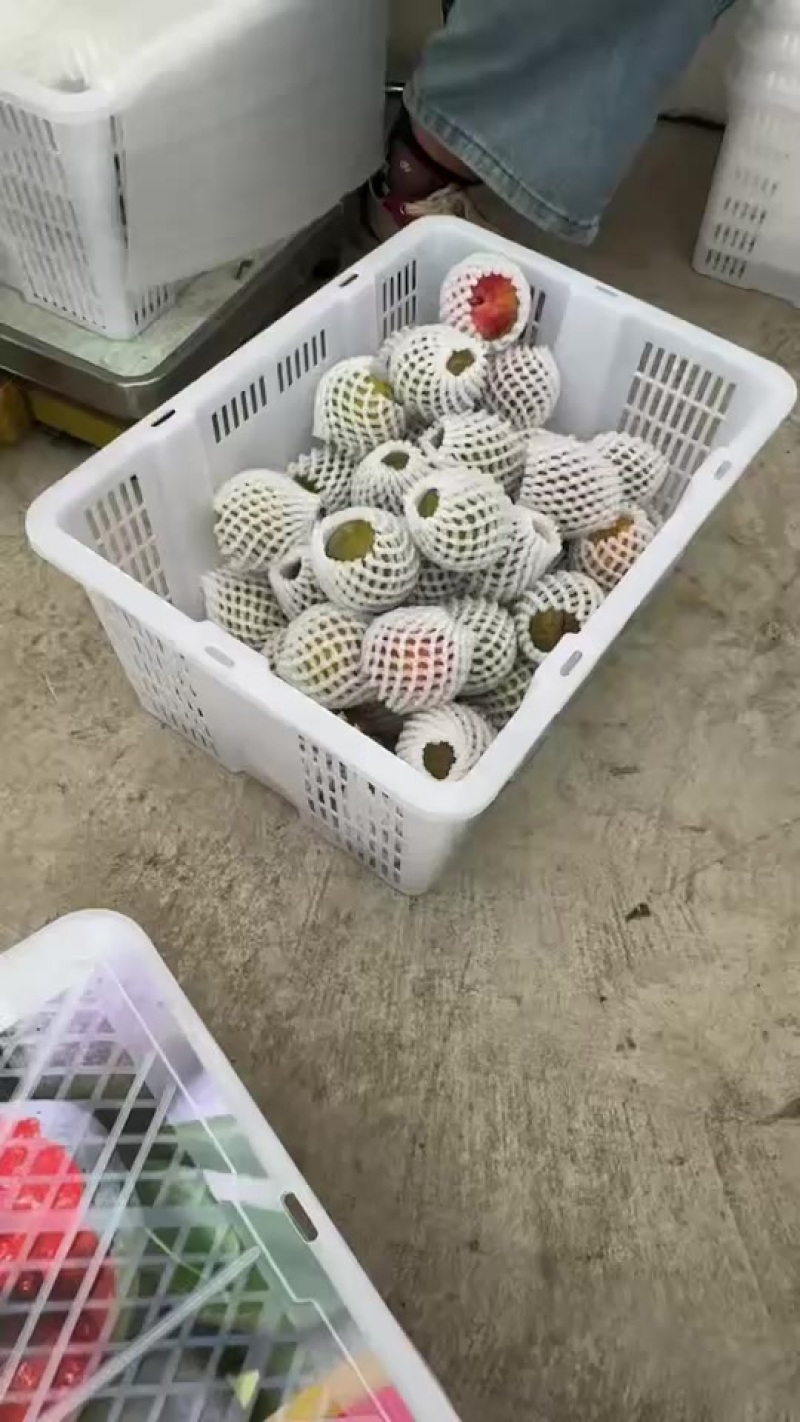 味帝大量上市产地装车量大从优诚信经营致电联系