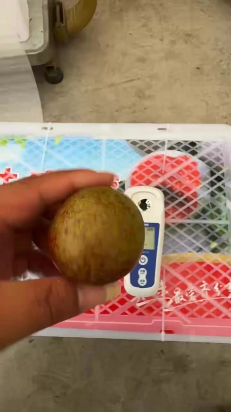 味帝大量上市产地装车量大从优诚信经营致电联系