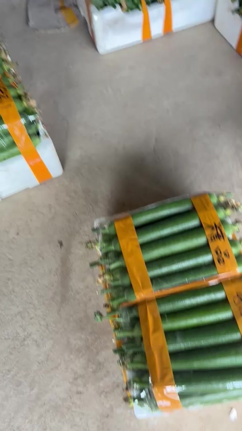油皮香丝瓜