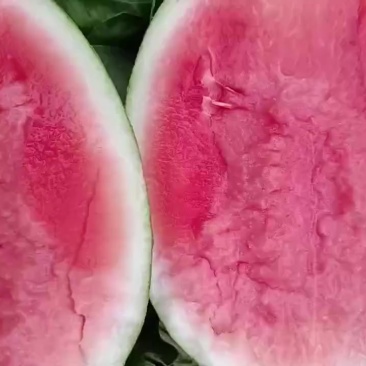 翠玲西瓜