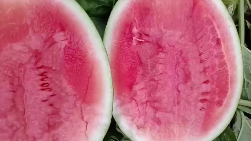 翠玲西瓜