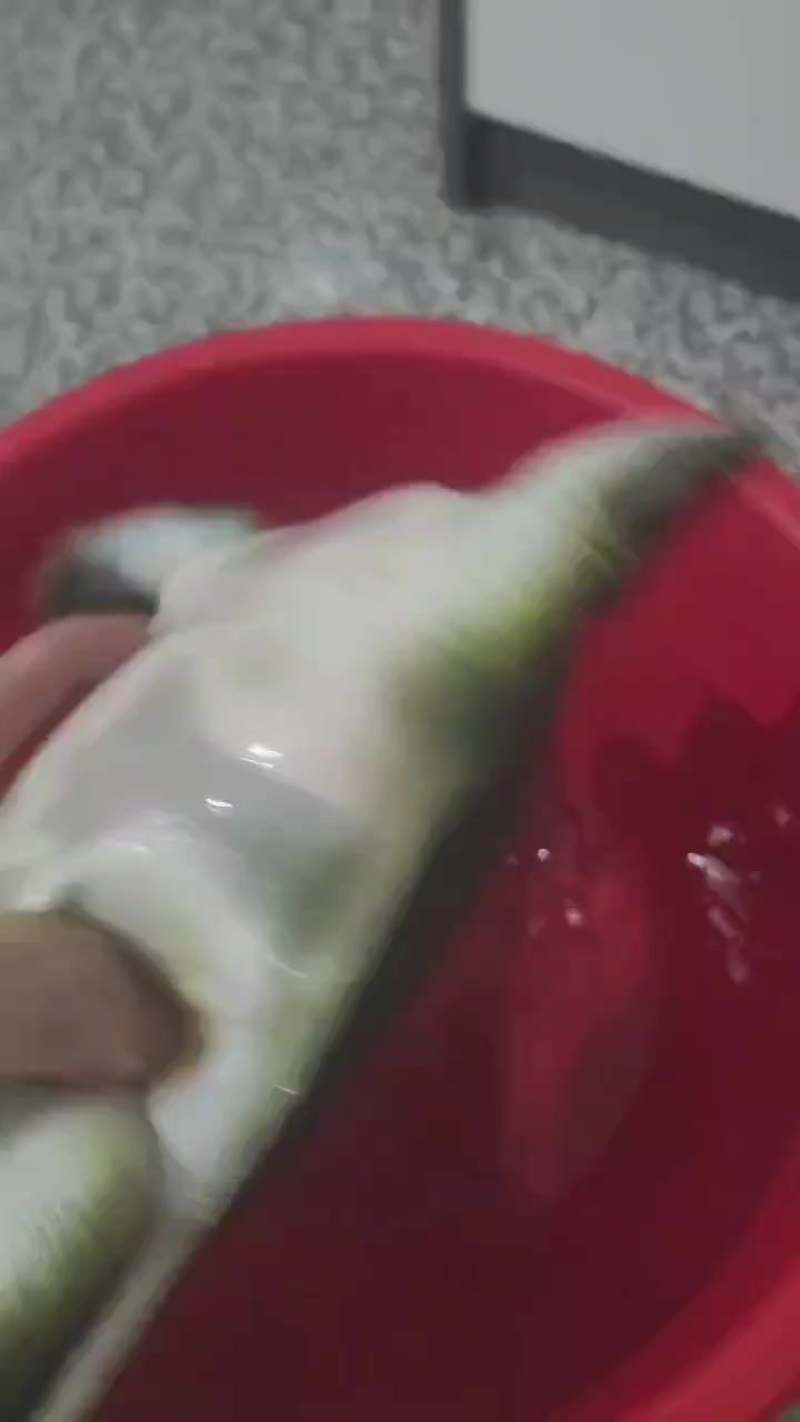 甲鱼