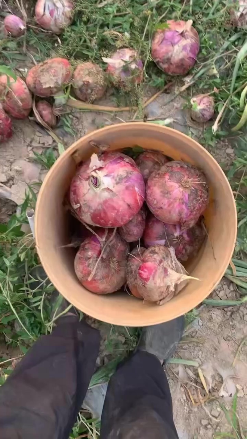 河西二红