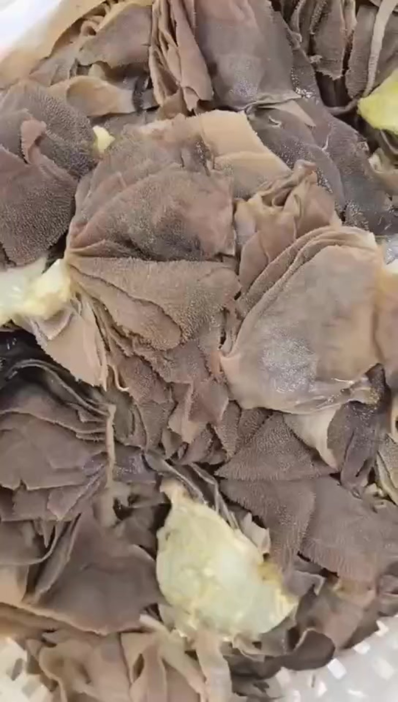大块毛肚边角
