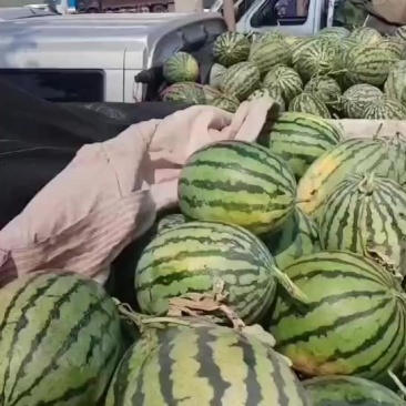 甜王西瓜