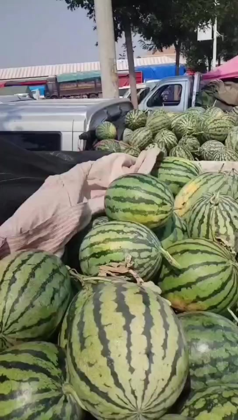甜王西瓜