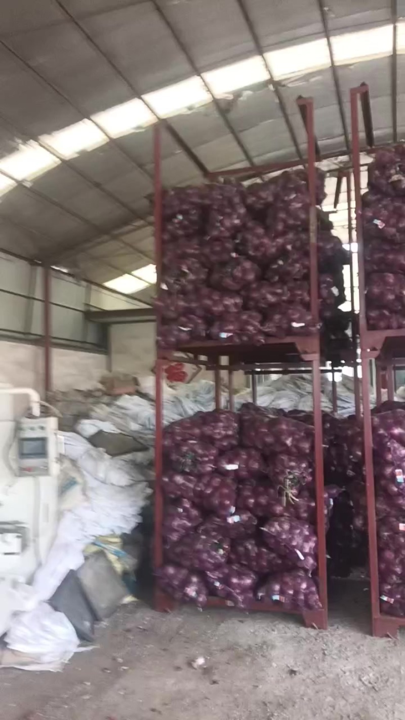 自家种植的洋葱