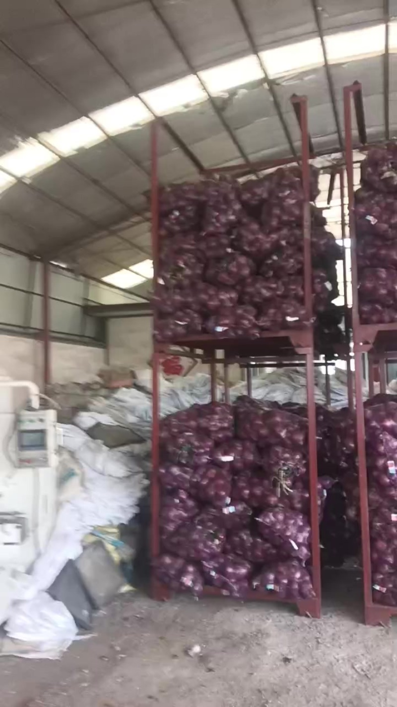 自家种植的洋葱