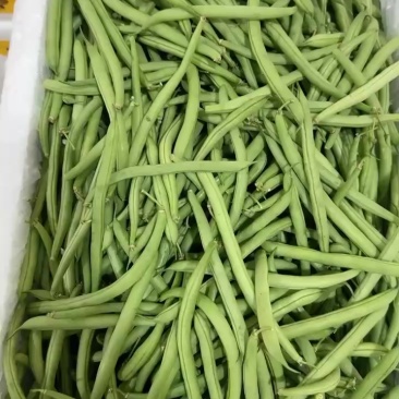 兰州青刀豆