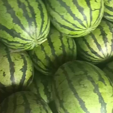 玉田精品甜王