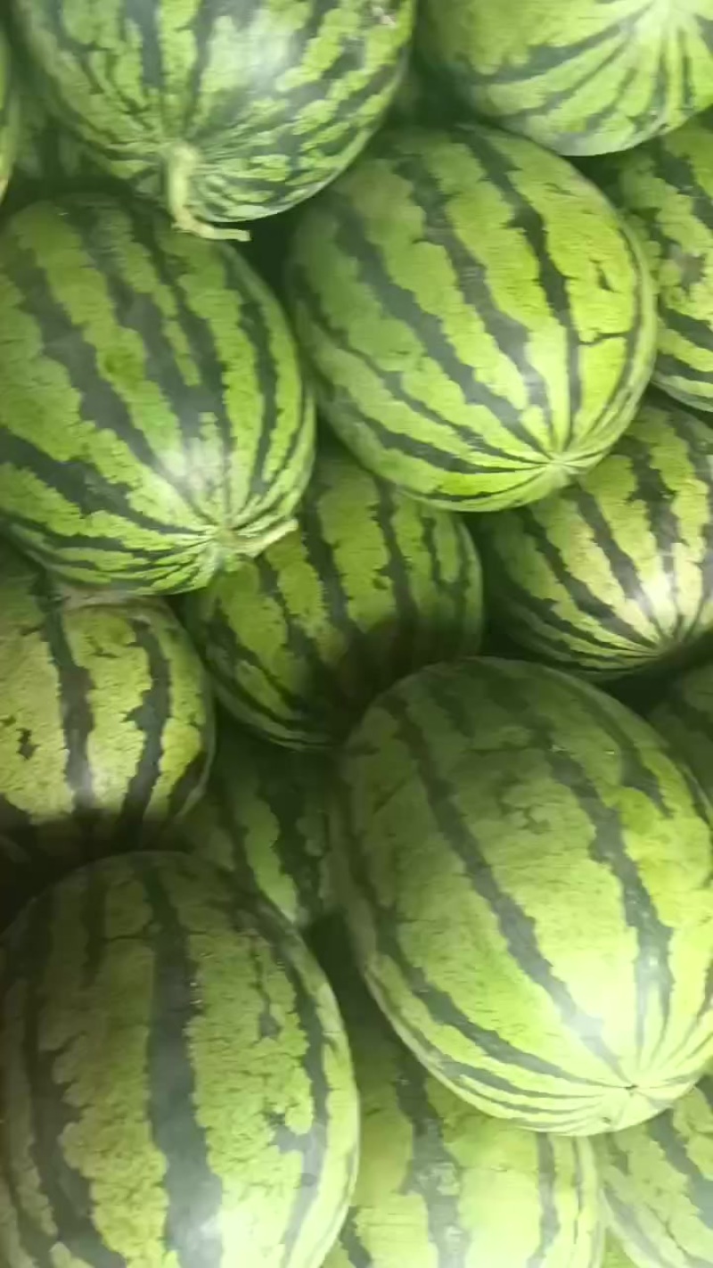 玉田精品甜王