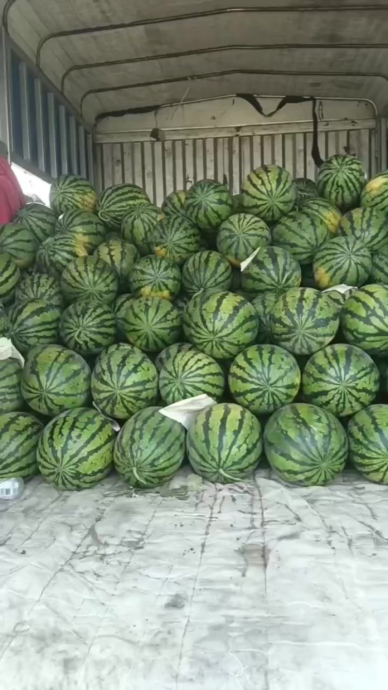 玉田精品甜王