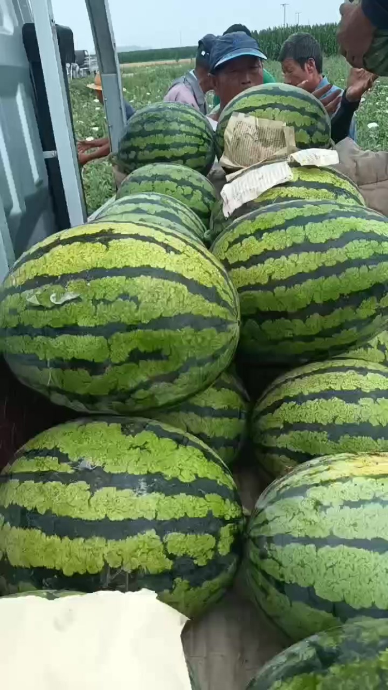 玉田精品甜王