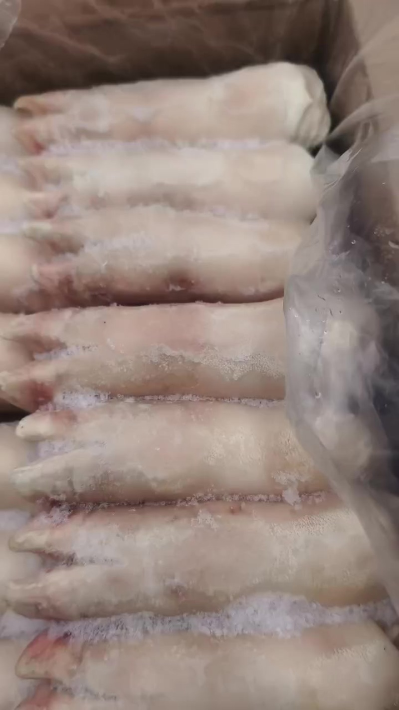 猪蹄