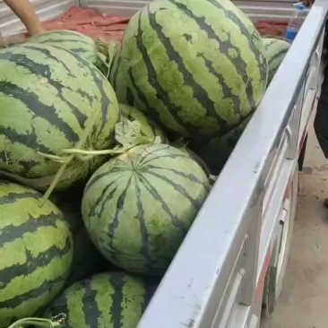 个个牛脑壳，大小车都接