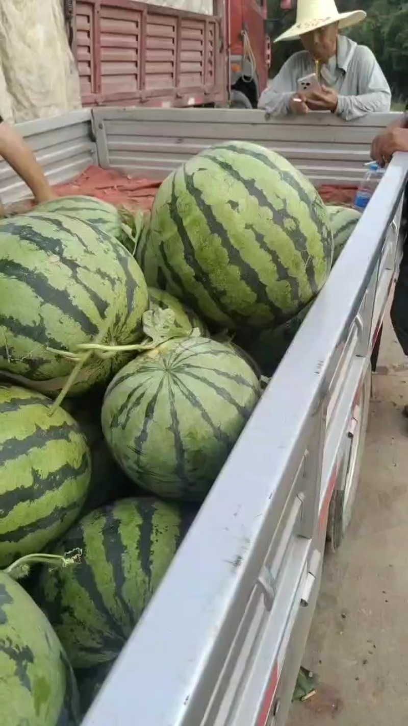 个个牛脑壳，大小车都接