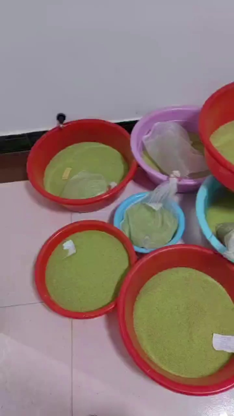 豆丹籽