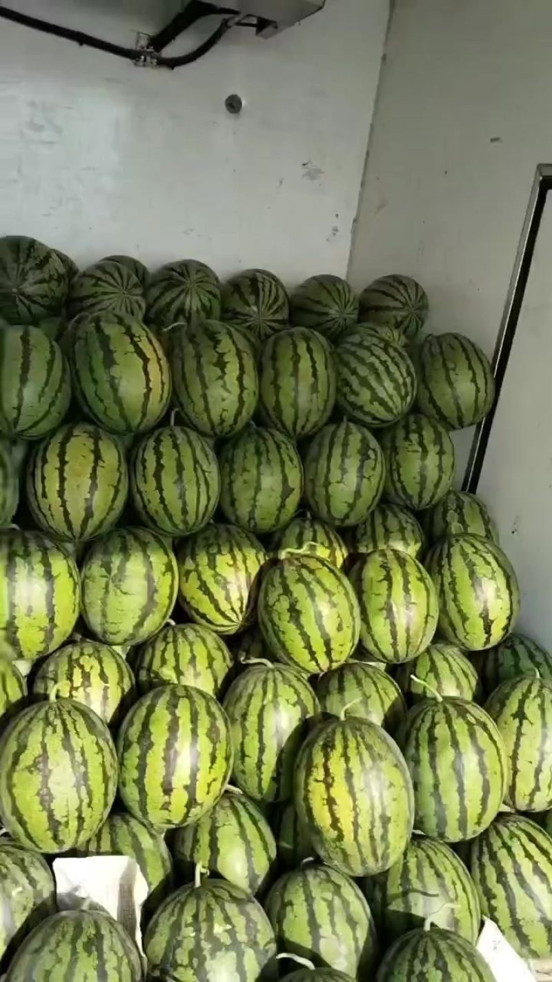 玉田天王西瓜
