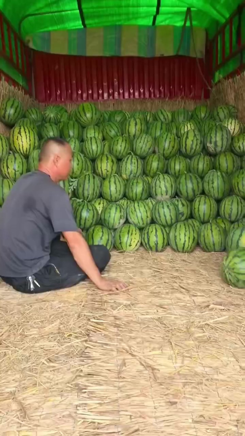 宁河大圆瓜