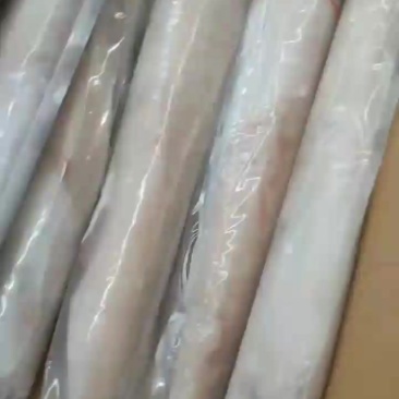 海捕鱿鱼