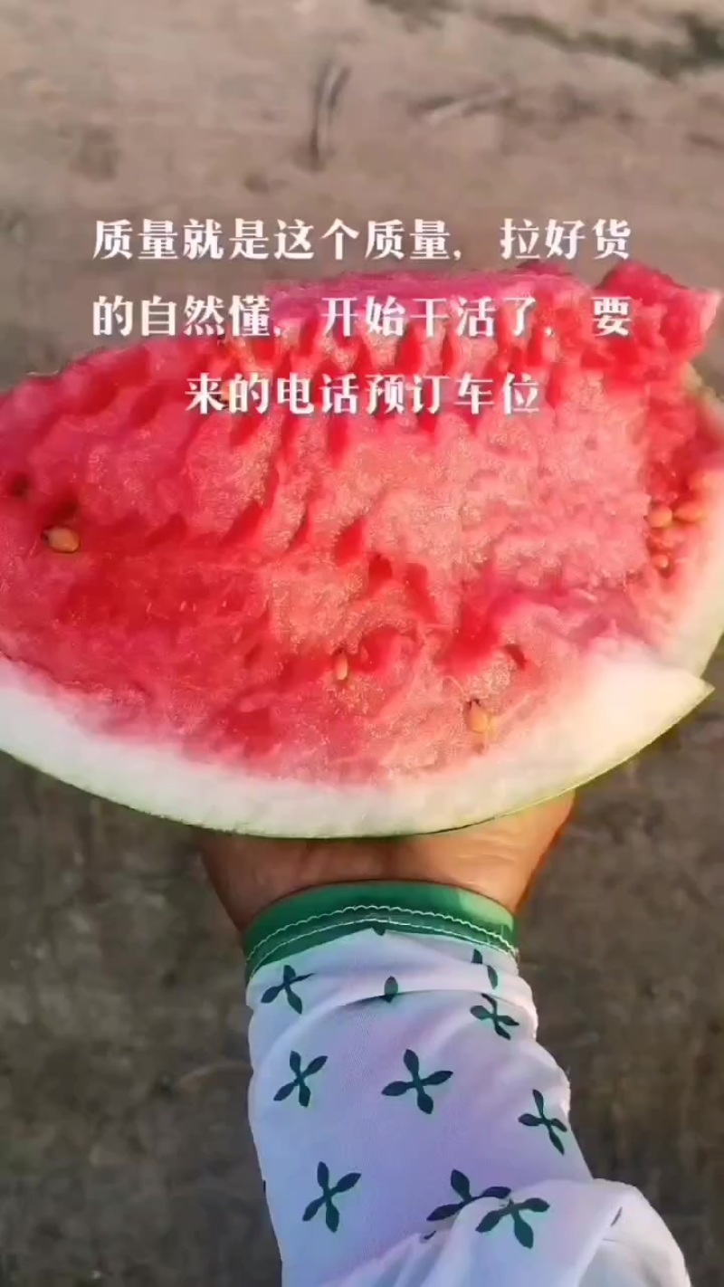 丽园西瓜