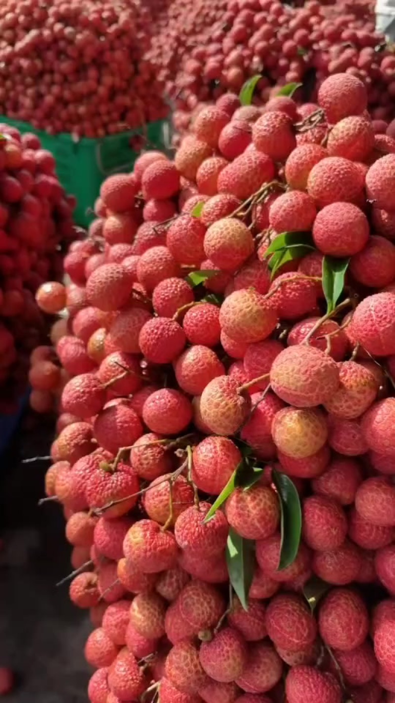 桂味