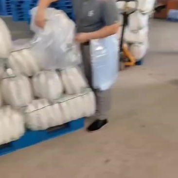 象牙白精品四排白萝卜