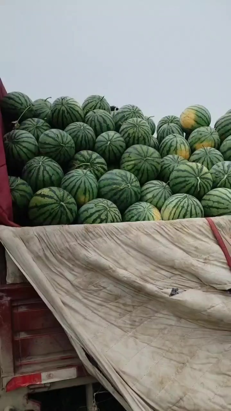好货物美价廉