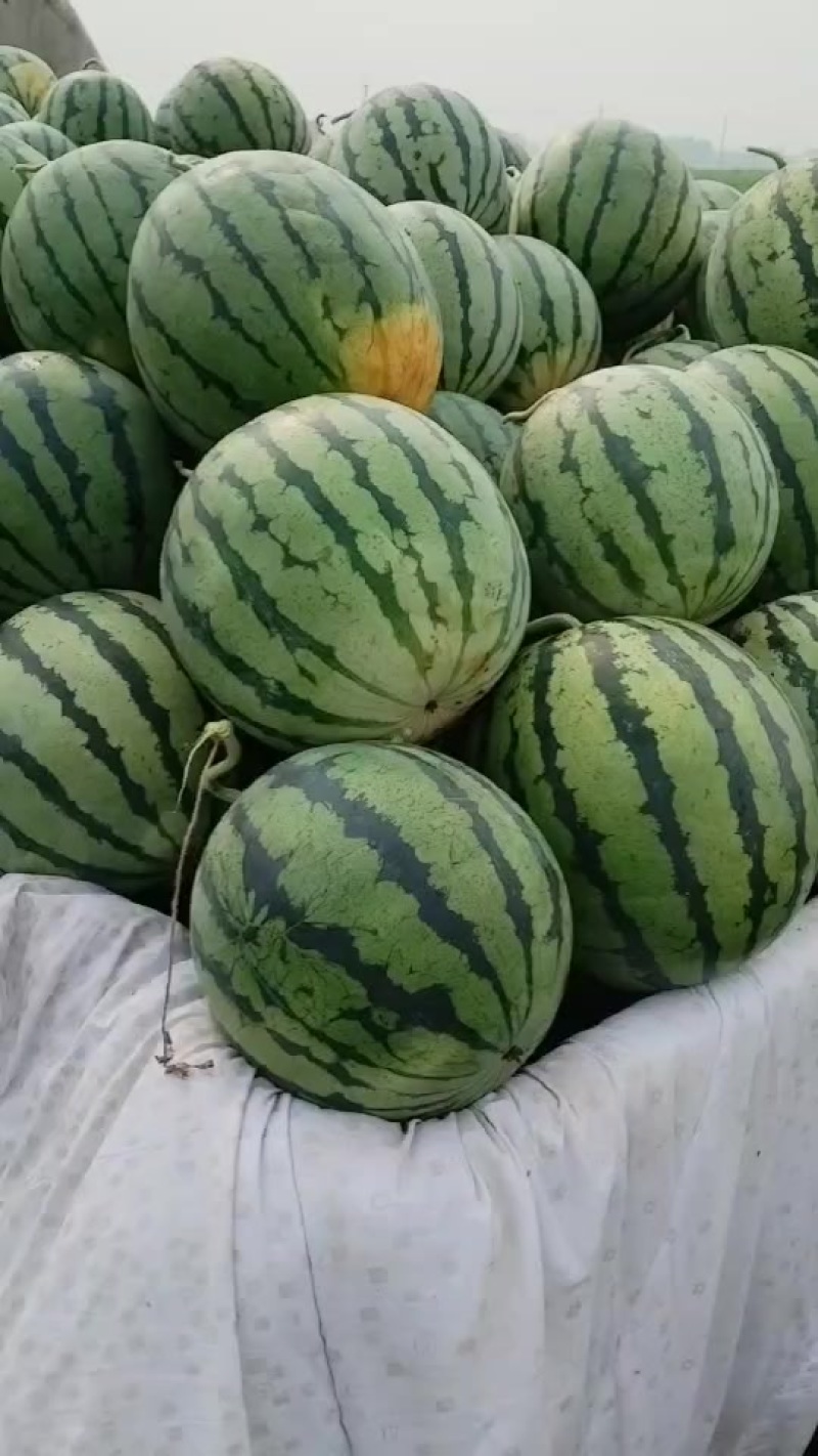 好货物美价廉