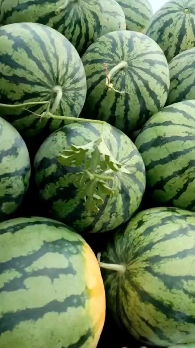 好货物美价廉