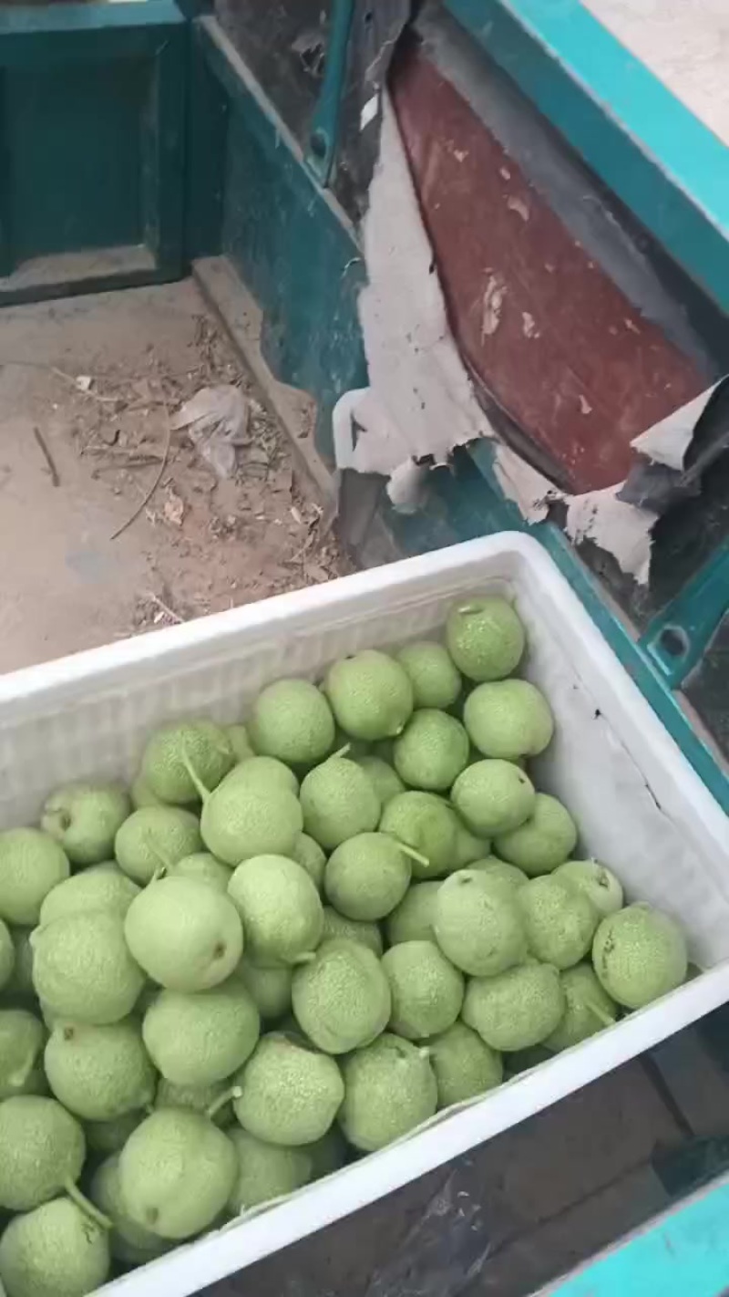 礼品二号