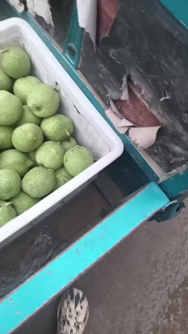 礼品二号